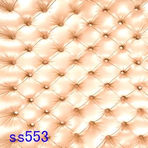 5'x8' SS553